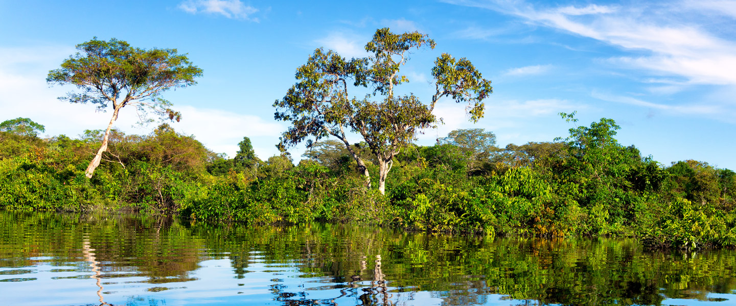 Brasilien Rundreisen World Insight Erlebnisreisen