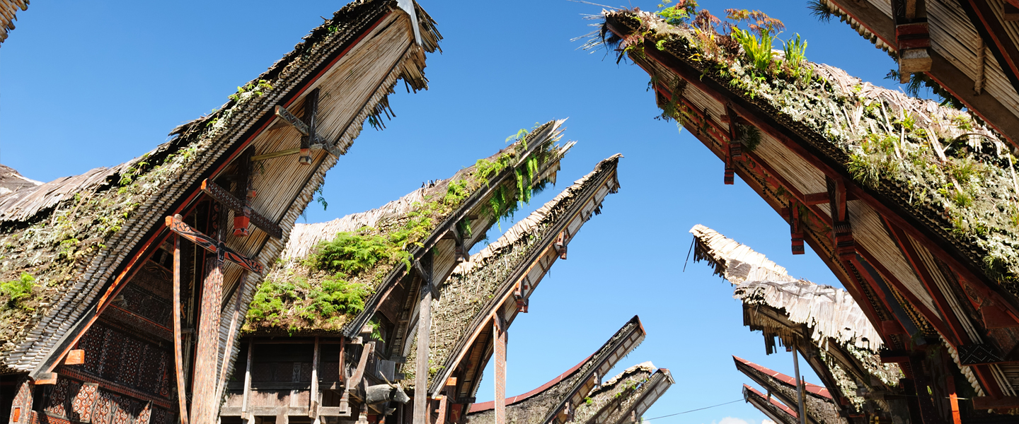 Sulawesi: Zu Besuch bei den Toraja nahe Rantepao - WORLD INSIGHT
